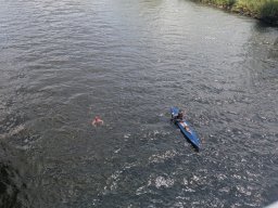 Mainschwimmen Juni 2026